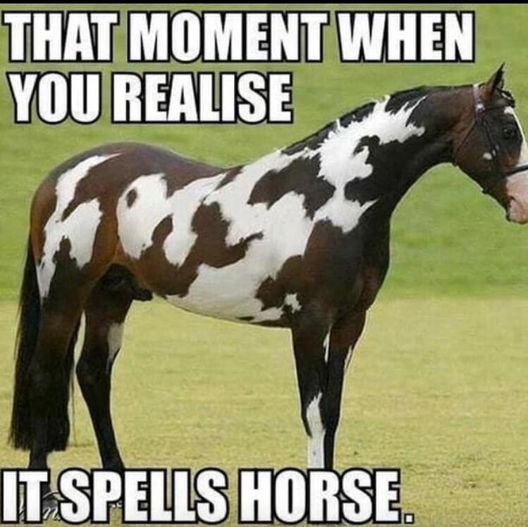 THATMOMENT WIIEN YOUREALISE kS t 14 ITSPELLSIHORSE