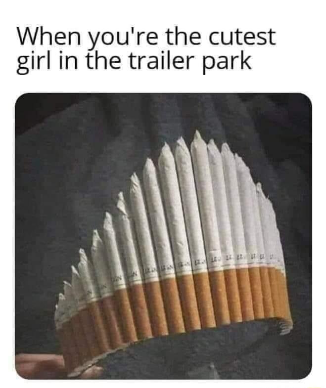 When youre the cutest girl in the trailer park