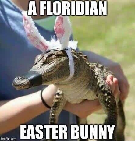 A FLORIDIAN EASTER BUNNY