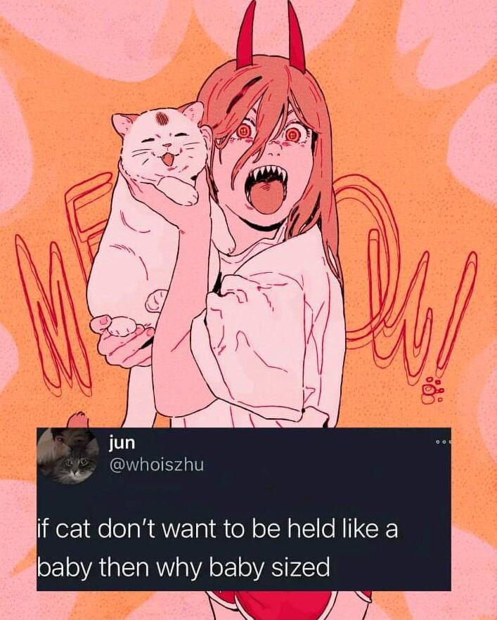 if cat dont want to be held like a baby then why baby sized