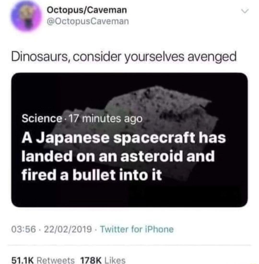 OctopusCaveman Dinosaurs consider yourselves avenged Science 17 minutes ago LWEELCECEETELEIE G EN ELCELELELES CIGILERT fired a bullet into it 511K 178K