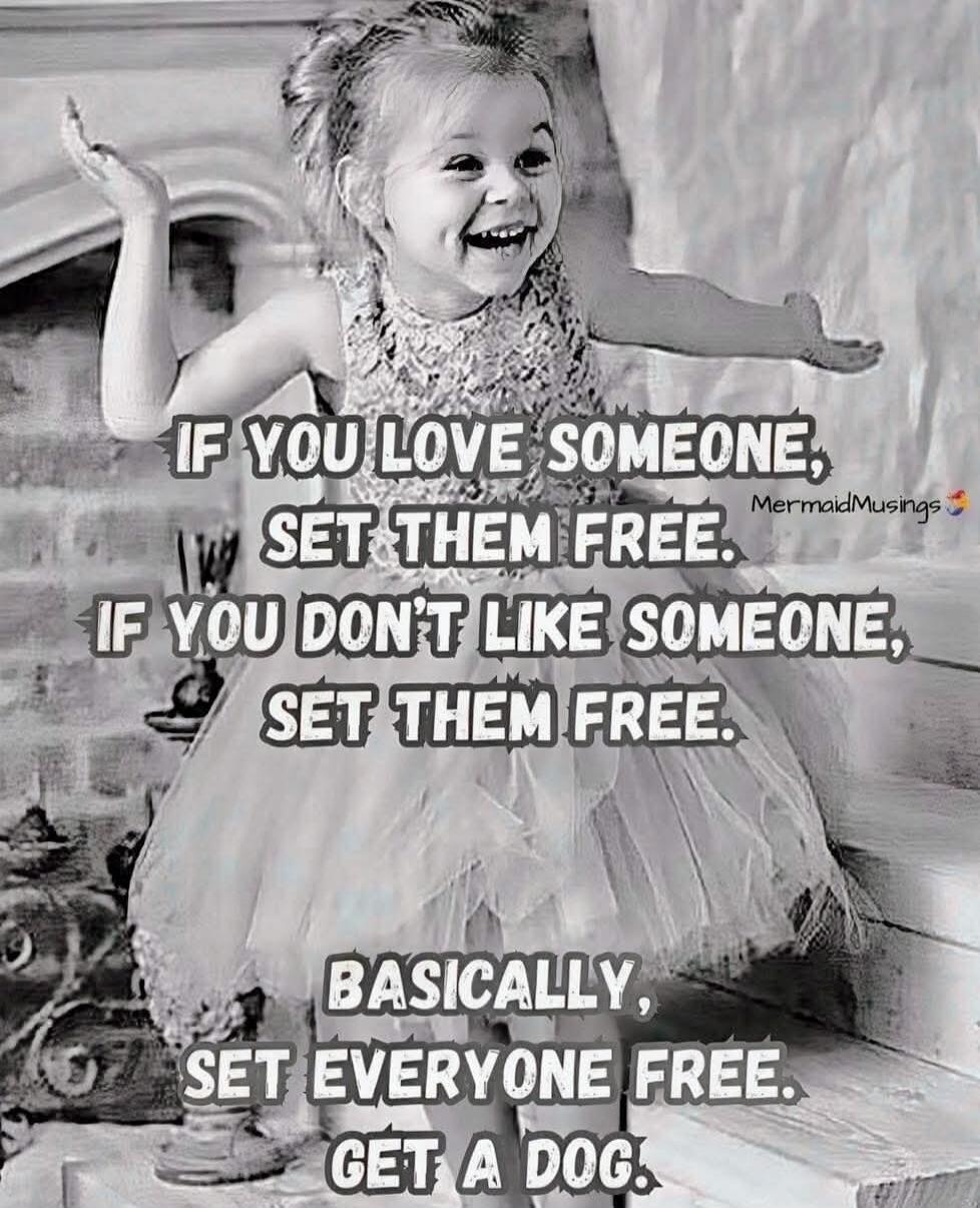 IF YOU LOVE SOMEONE, SET THEM FREE. IF YOU DON'T LIKE SOMEONE, SET THEM FREE. BASICALLY, SET EVERYONE FREE. GET A DOG.
