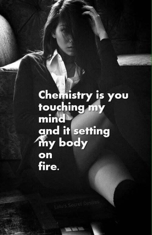 Chemistry is you touching my mind and it setting my body on fire. Lulu's Secret Desires