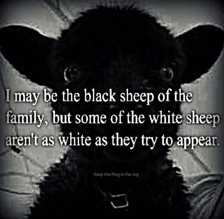 I may be the black sheep of the family, but some of the white sheep aren't as white as they try to appear. Keep the Plug in the Jug