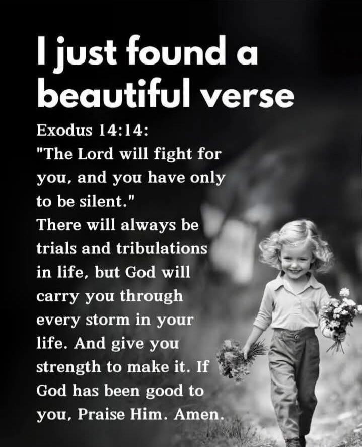I just found a beautiful verse Exodus 14:14: 