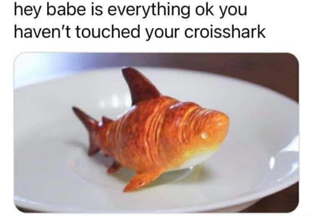 hey babe is everything ok you havent touched your croisshark