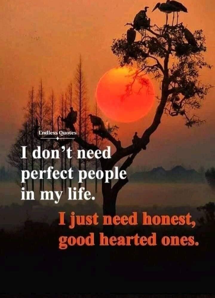 Endless Quotes I don't need perfect people in my life. I just need honest, good hearted ones.