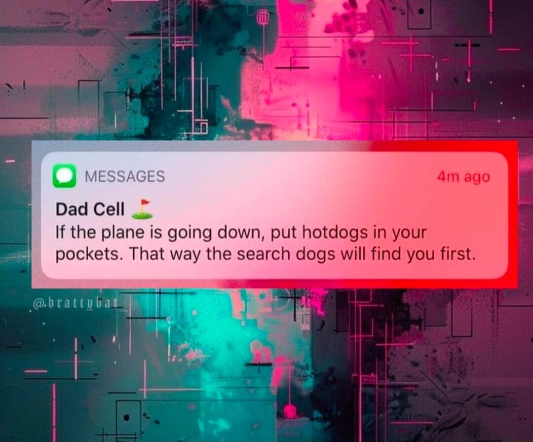 Dad Cell If the plane is going down put hotdogs if pockets That way the search dogs will find