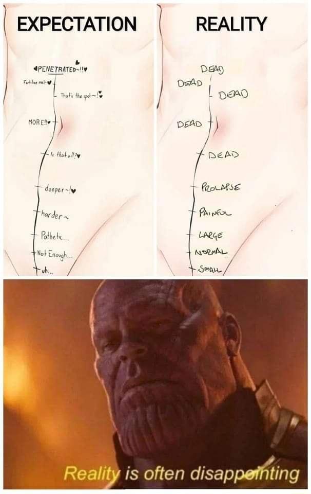 EXPECTATION REALITY APENETRATEDS Day