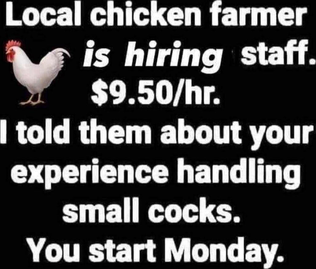 Local chicken farmer is hiring staff. $9.50/hr. I told them about your experience handling small cocks. You start Monday.