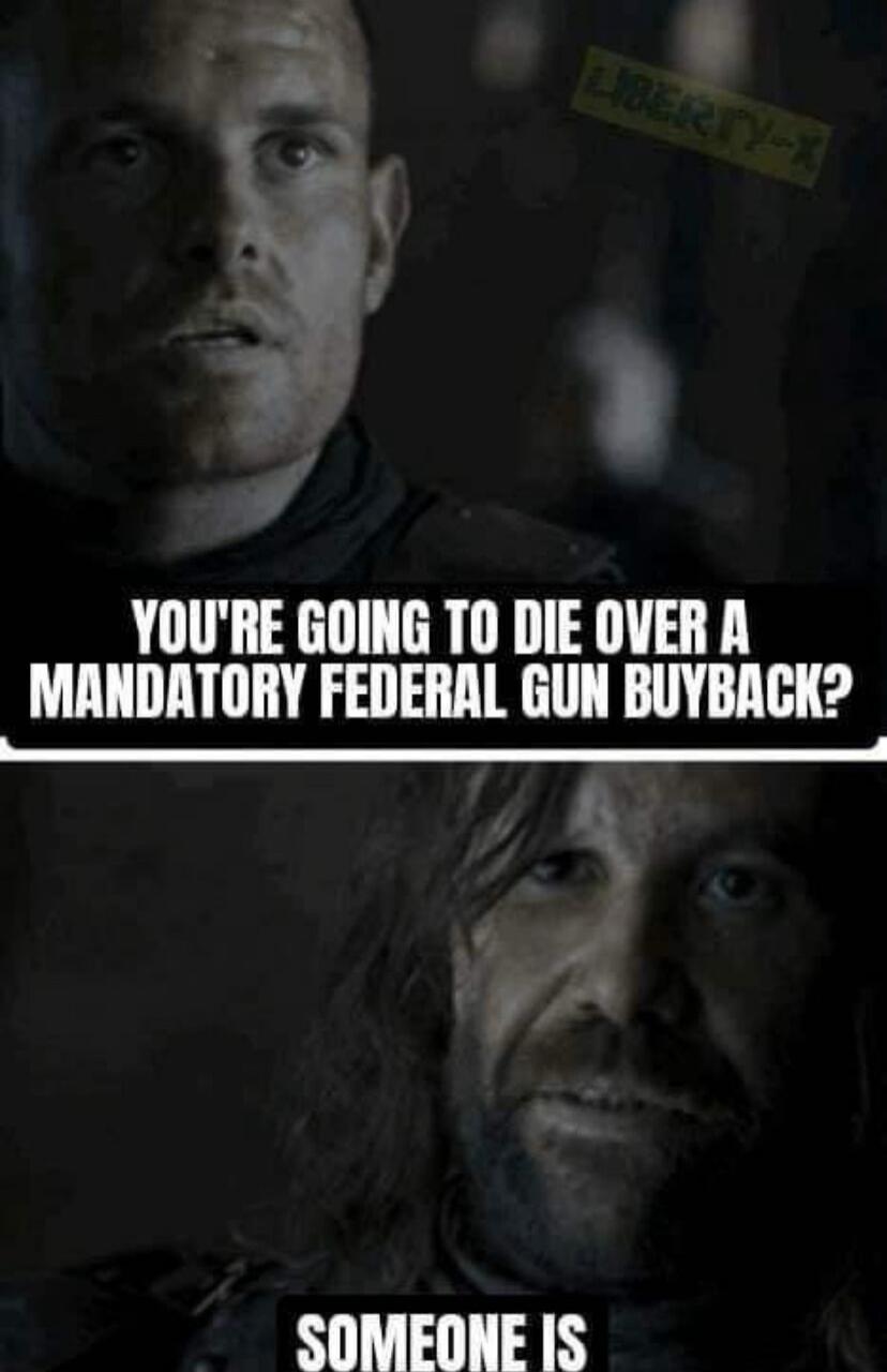 YOU'RE GOING TO DIE OVER A MANDATORY FEDERAL GUN BUYBACK?
SOMEONE IS