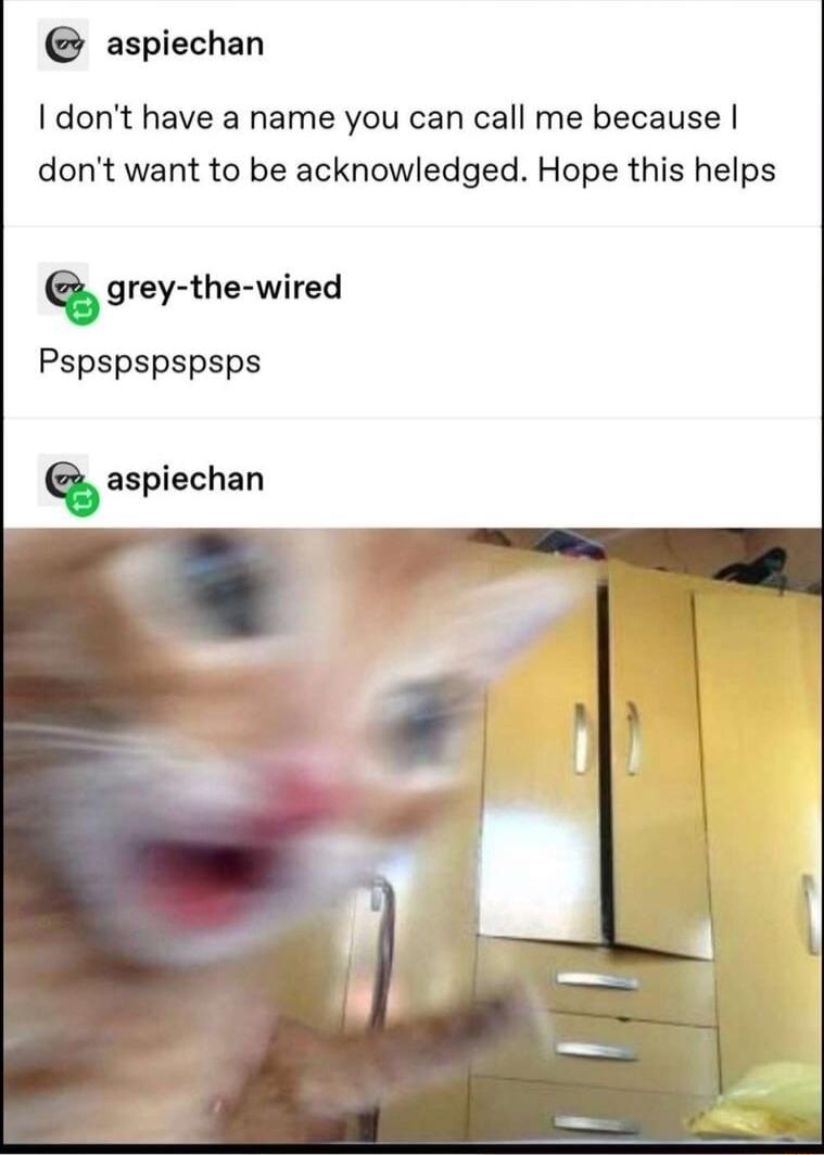 aspiechan dont have a name you can call me because dont want to be acknowledged Hope this helps grey the wired Pspspspspsps aspiechan