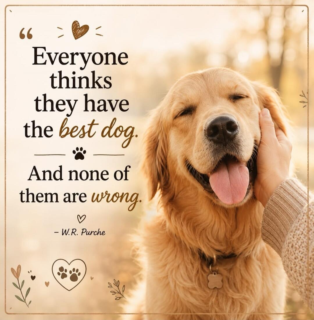 Everyone thinks they have the best dog. And none of them are wrong. - W.R. Purche