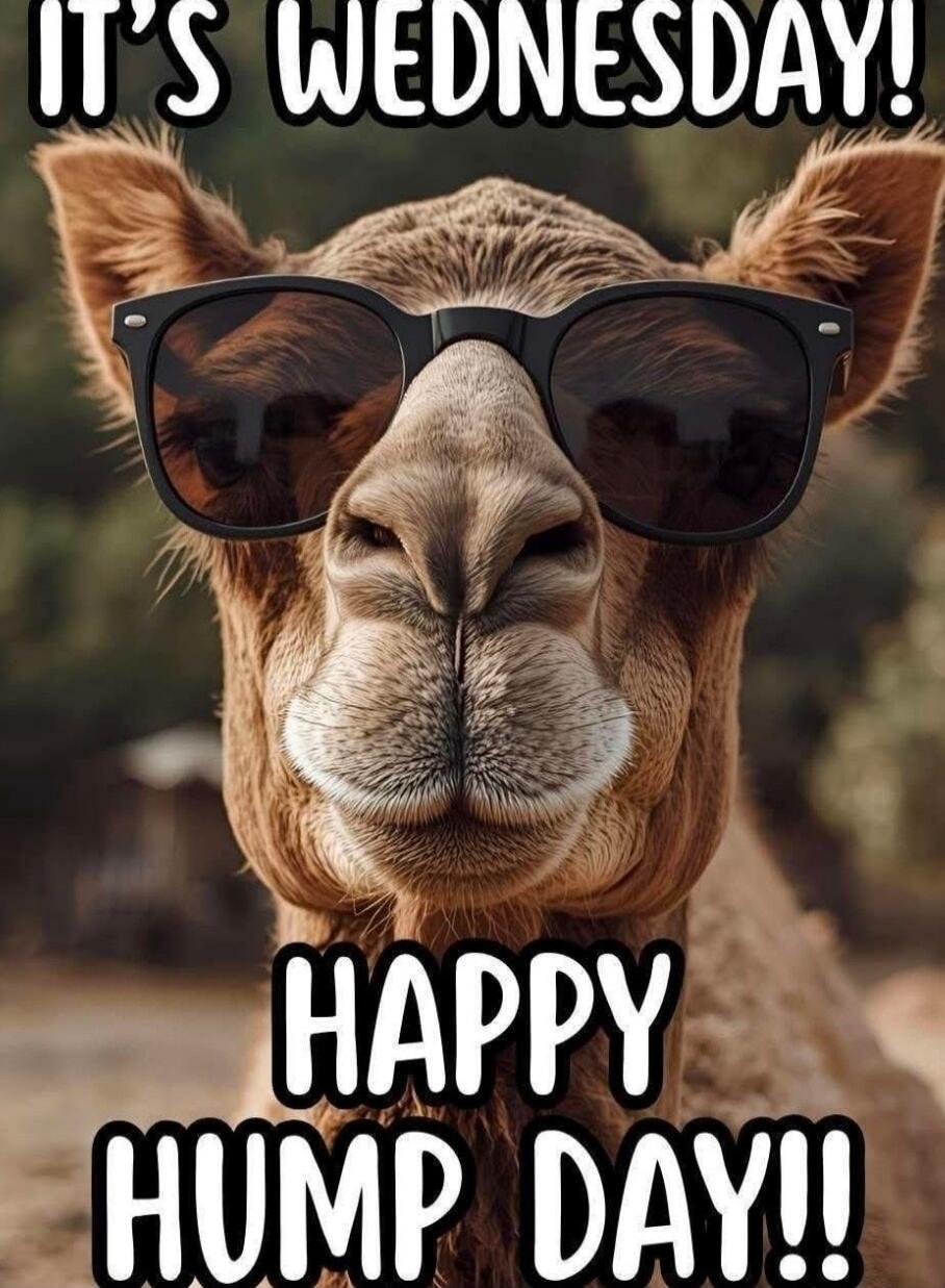 IT'S WEDNESDAY! HAPPY HUMP DAY!!
