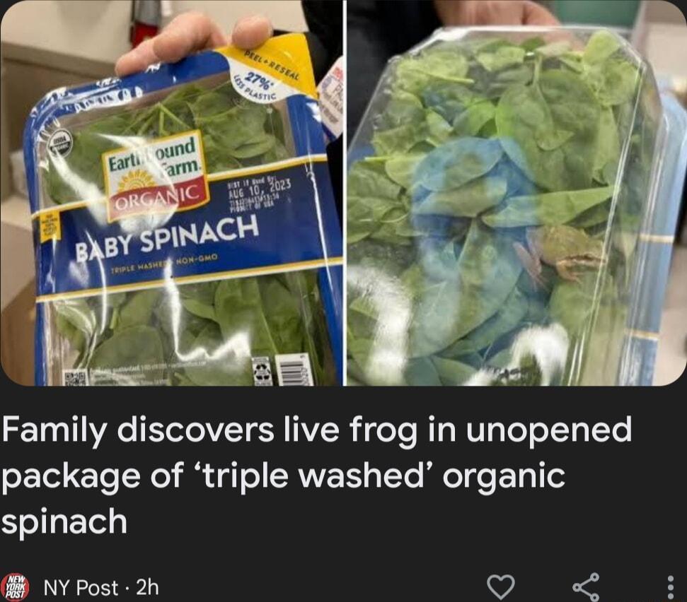 10 WA TV ET R AR e Te W T WV Ty TeT o TTy ITe LTl CTe TNl i g o CRAWE R s TTe eTge Ty 1T spinach NYPost 2h Q