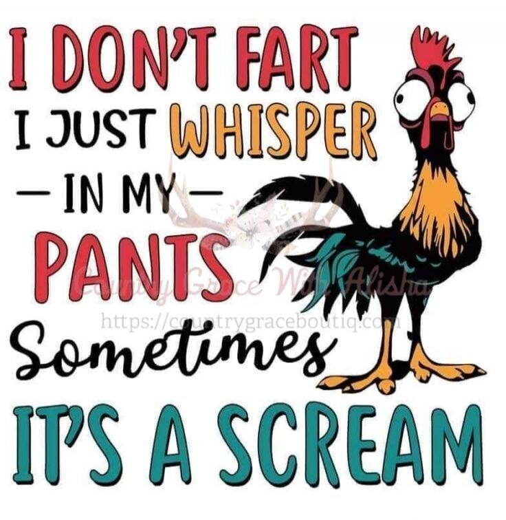 I DON'T FART I JUST WHISPER IN MY PANTS SOMETIMES IT'S A SCREAM
