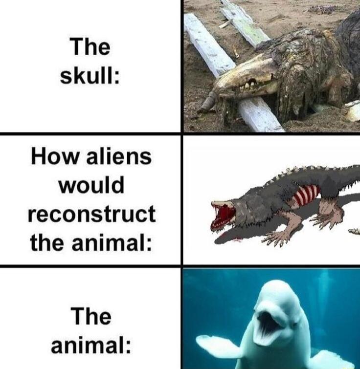 How aliens would reconstruct the animal