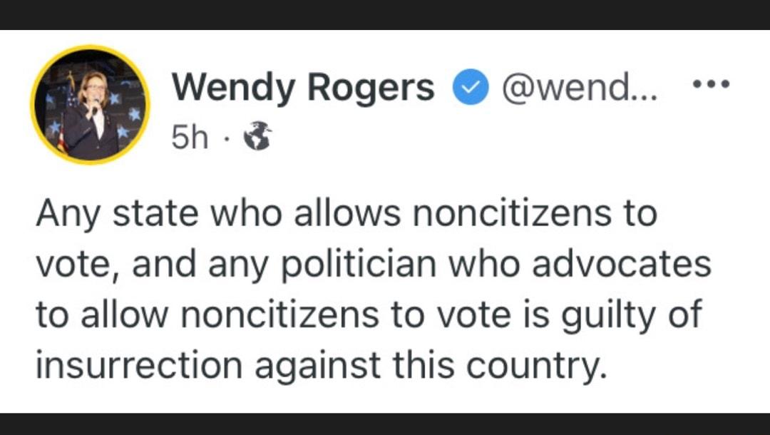 Wendy Rogers wend 5h Any state who allows noncitizens to vote and any politician who advocates to allow noncitizens to vote is guilty of insurrection against this country