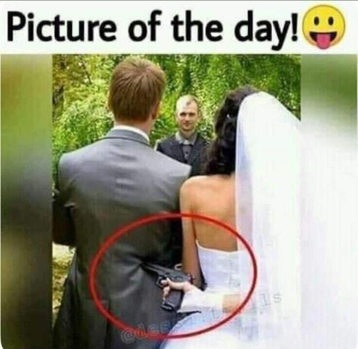 Picture of the day!