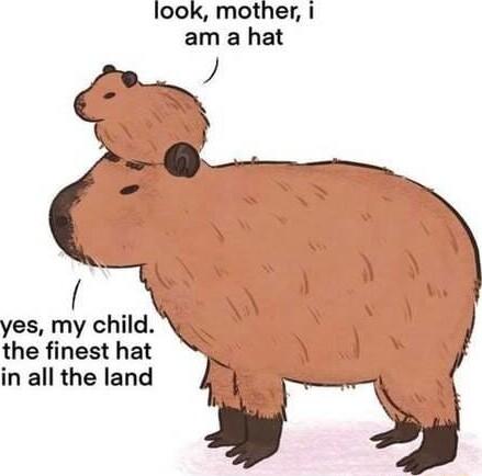 look mother am a hat yes my child the finest hat 4 in all the land 4_