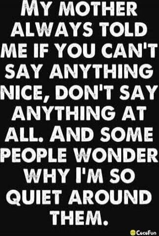 MY MOTHER ALWAYS TOLD ME IF YOU CAN'T SAY ANYTHING NICE, DON'T SAY ANYTHING AT ALL. AND SOME PEOPLE WONDER WHY I'M SO QUIET AROUND THEM.