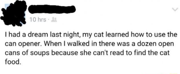 Ihad a dream last night my cat learned how to use the can opener When walked in there was a dozen open cans of soups because she cant read to find the cat food