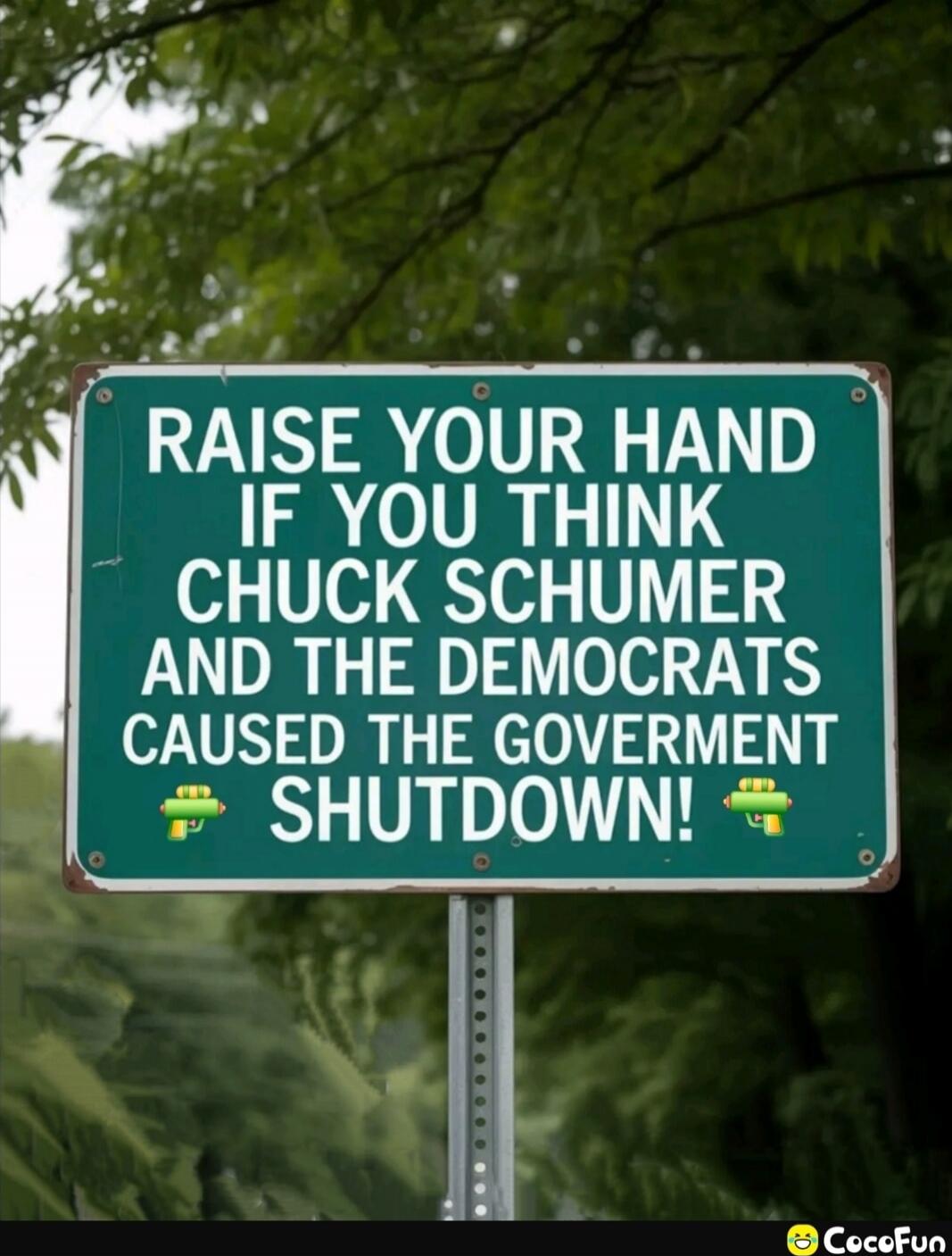 RAISE YOUR HAND IF YOU THINK CHUCK SCHUMER AND THE DEMOCRATS CAUSED THE GOVERNMENT SHUTDOWN!