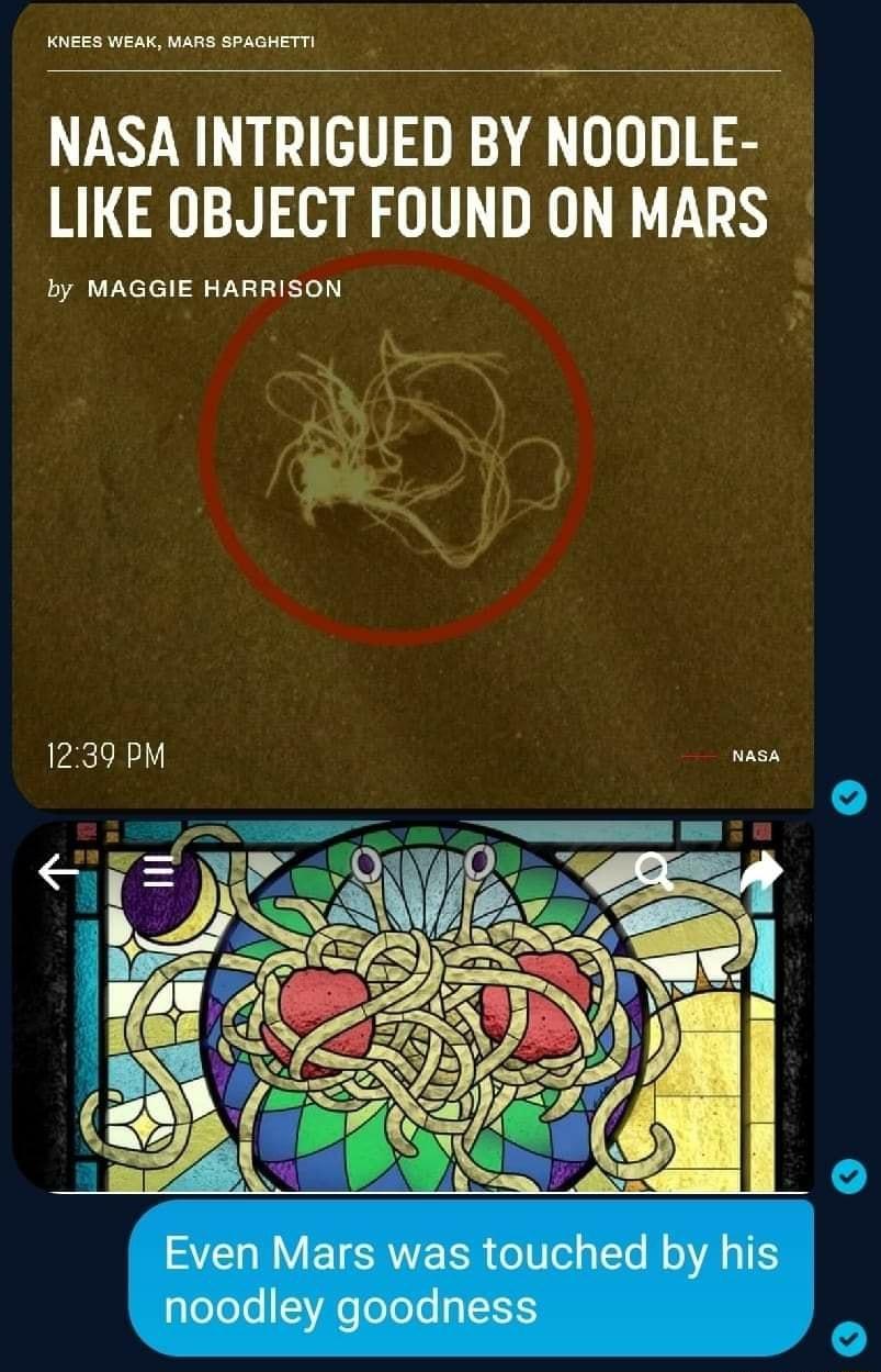 NASA INTRIGUED BY NOODLE LIKE OBJECT FOUND ON MARS by MAGGIE HARRISON