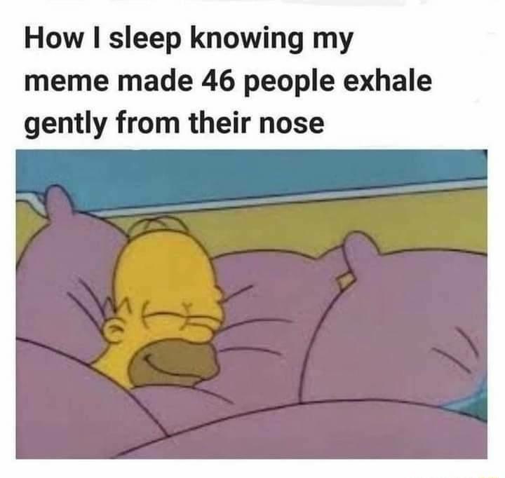 How sleep knowing my meme made 46 people exhale gently from their nose