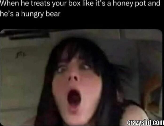 When he treats your box like it's a honey pot and he's a hungry bear