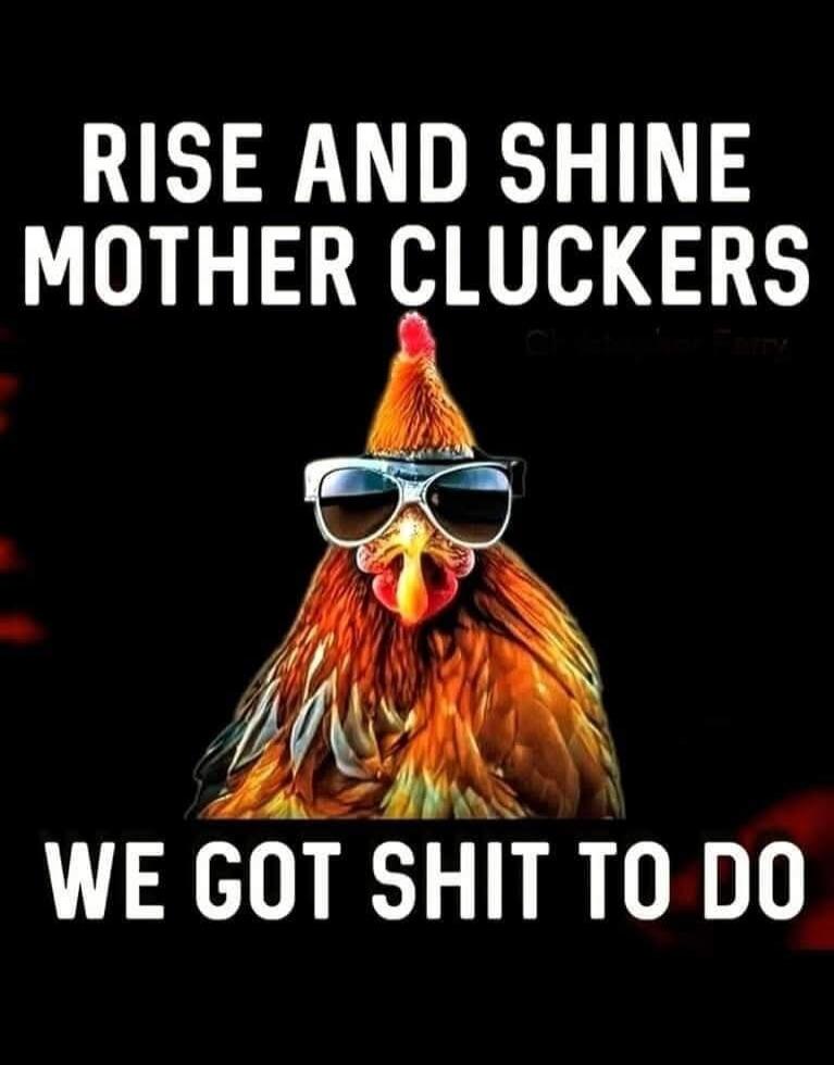RISE AND SHINE MOTHER CLUCKERS WE GOT SHIT TO DO