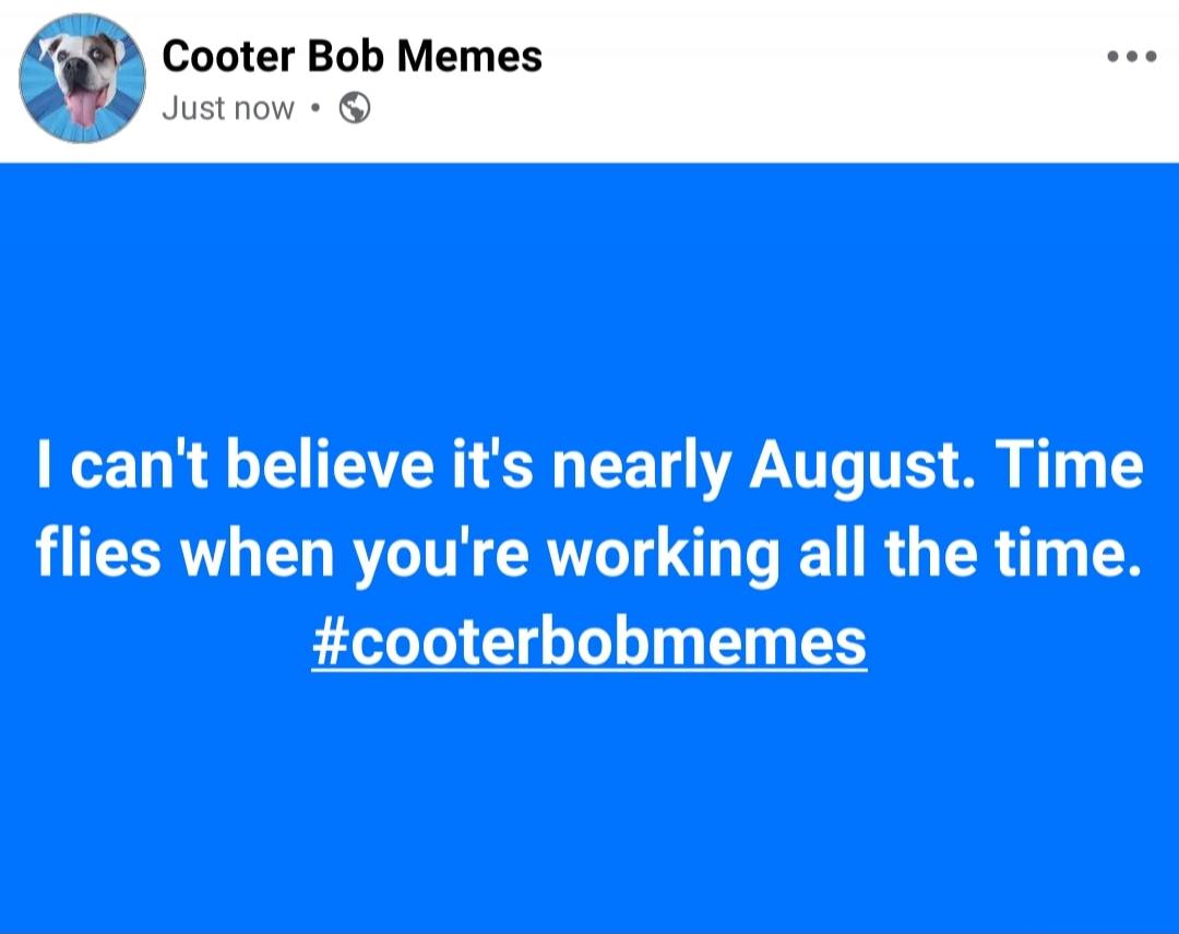 Cooter Bob Memes. I can't believe it's nearly August. Time flies when you're working all the time. #cooterbobmemes