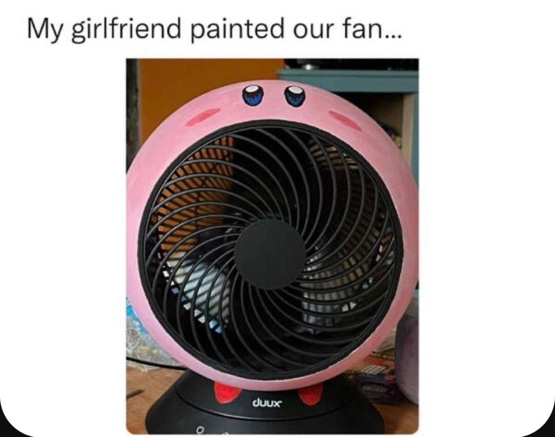 My girlfriend painted our fan L