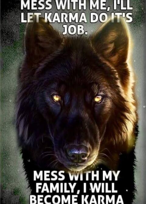 MESS WITH ME, I'LL LET KARMA DO IT'S JOB.
MESS WITH MY FAMILY, I WILL BECOME KARMA