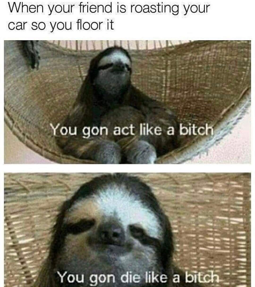 When your friend is roasting your car so you floor it v 1Y vl ik You gon die like a bitch