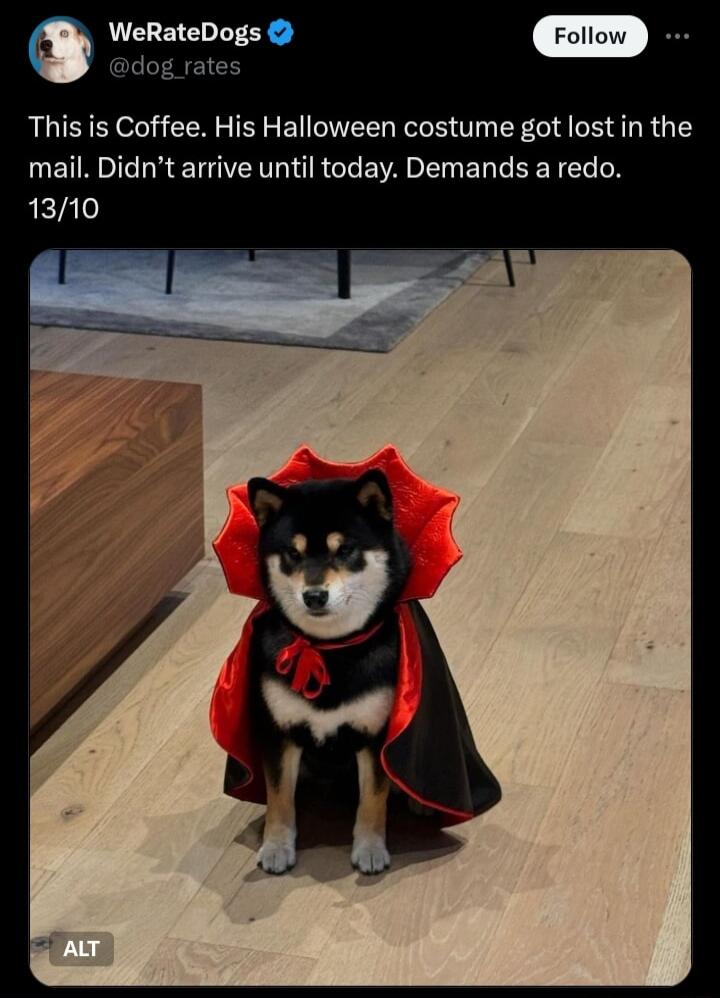 WeRateDogs dog rate This is Coffee His Halloween costume got lost in the UETR I LR ST TR GI E VA EL T EER T N 1310