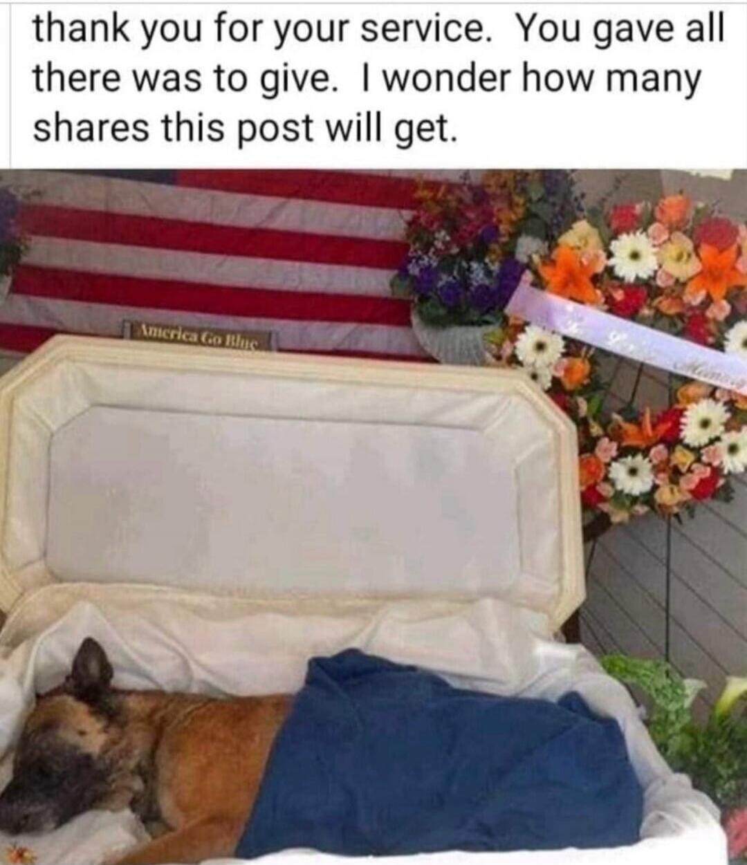thank you for your service. You gave all there was to give. I wonder how many shares this post will get. America Go Blue