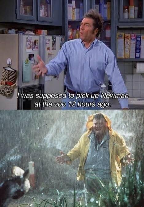 I was supposed to pick up Newman at the zoo 12 hours ago.