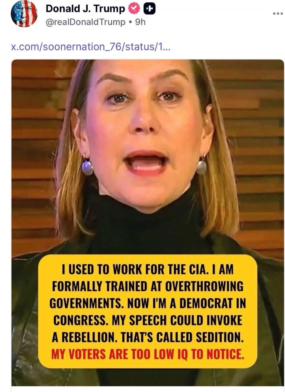 I USED TO WORK FOR THE CIA. I AM FORMALLY TRAINED AT OVERSHOWING GOVERNMENTS. NOW I'M A DEMOCRAT IN CONGRESS. MY SPEECH COULD INVOKE A REBELLION. THAT'S CALLED SEDITION. MY VOTERS ARE TOO LOW IQ TO NOTICE.