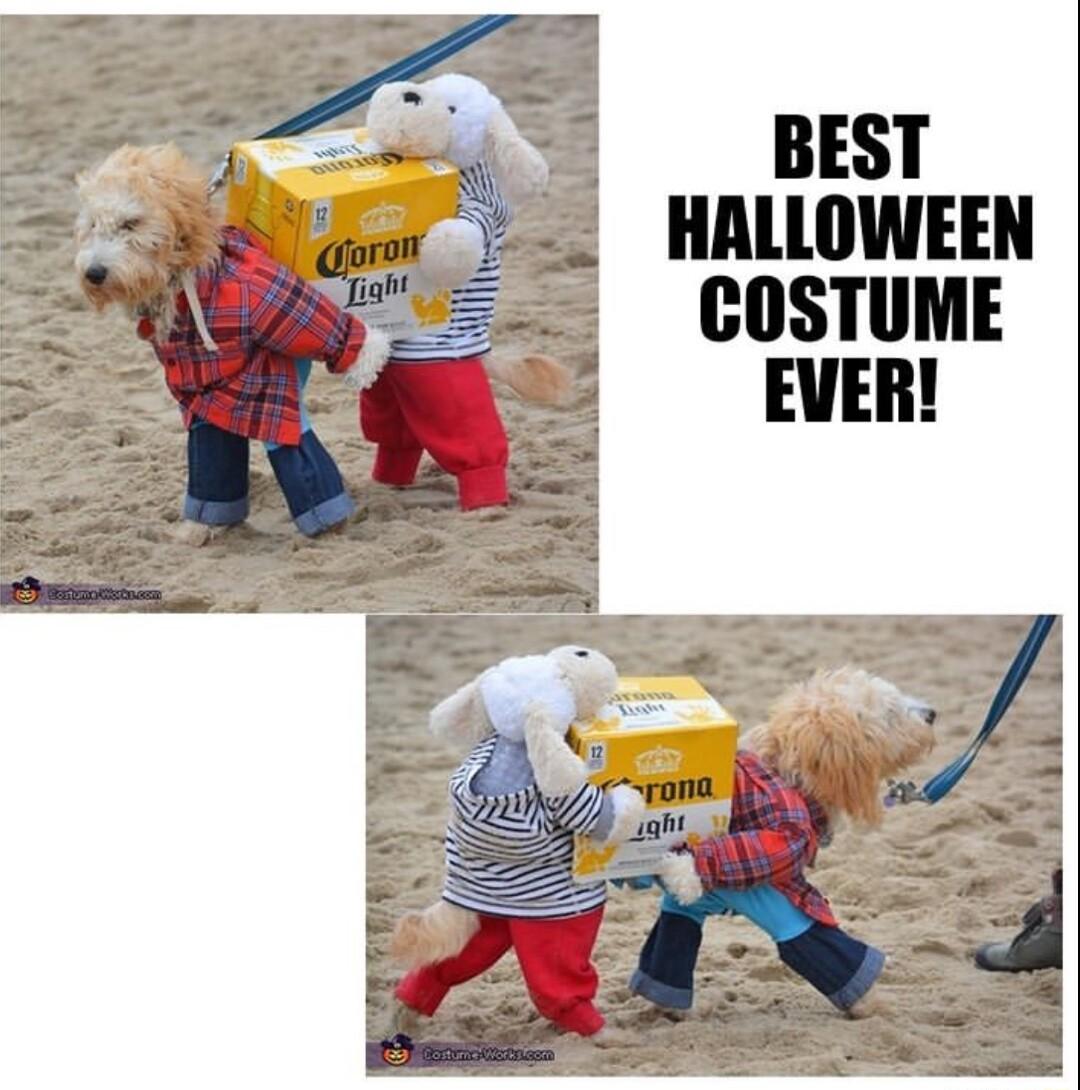 BEST HALLOWEEN COSTUME EVER