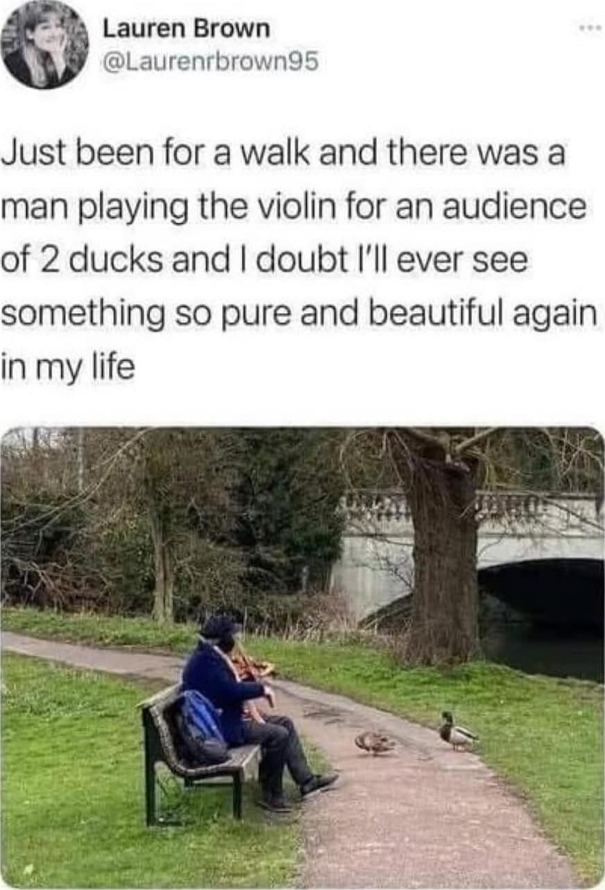Lauren Brown Laurenrbrown95 Just been for a walk and there was a man playing the violin for an audience of 2 ducks and doubt Ill ever see something so pure and beautiful again in my life