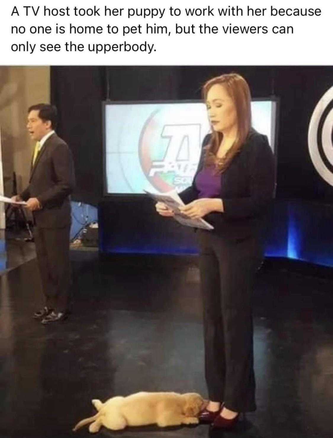 A TV host took her puppy to work with her because no one is home to pet him but the viewers can only see the upperbody