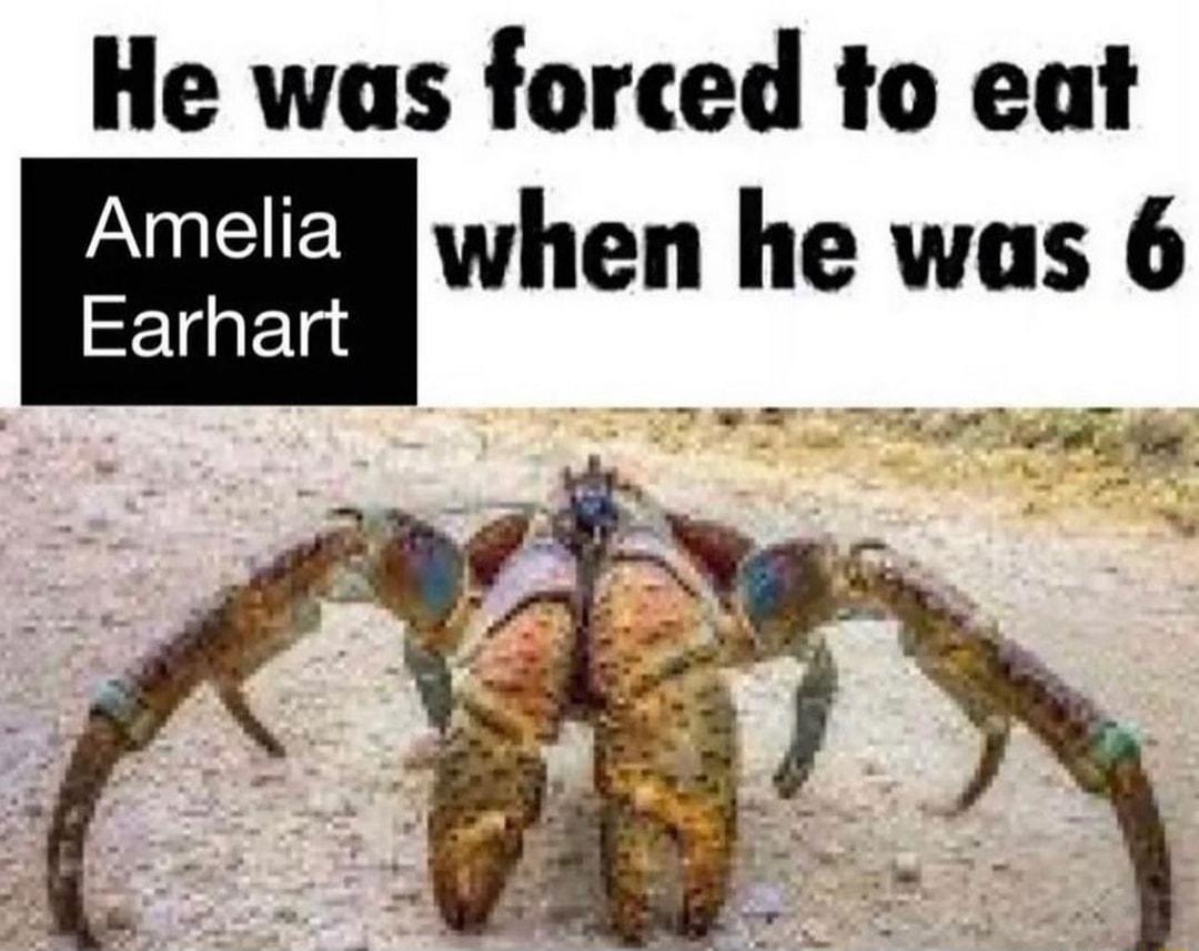 He was forced to eat AUl when he was 6 Earhart
