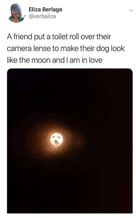 Eliza Berlage A friend put a toilet roll over their camera lense to make their dog look like the moon and am in love