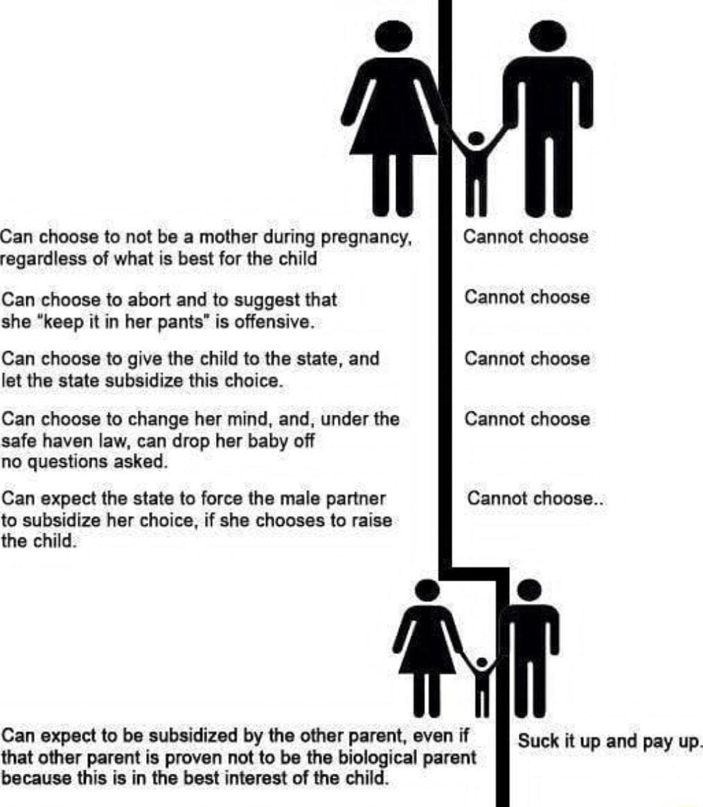Can choose to not be a mother during pregnancy Cannot choose regardless of what s best for the child Can choose to abort and to suggest that Cannot choose she keep it in her pants is offensive Can choose to give the child to the state and lo the state subsidize this choice Cannot choose Can choose to change her mind and under the safe haven law can drop her baby off o questions asked Cannot choose