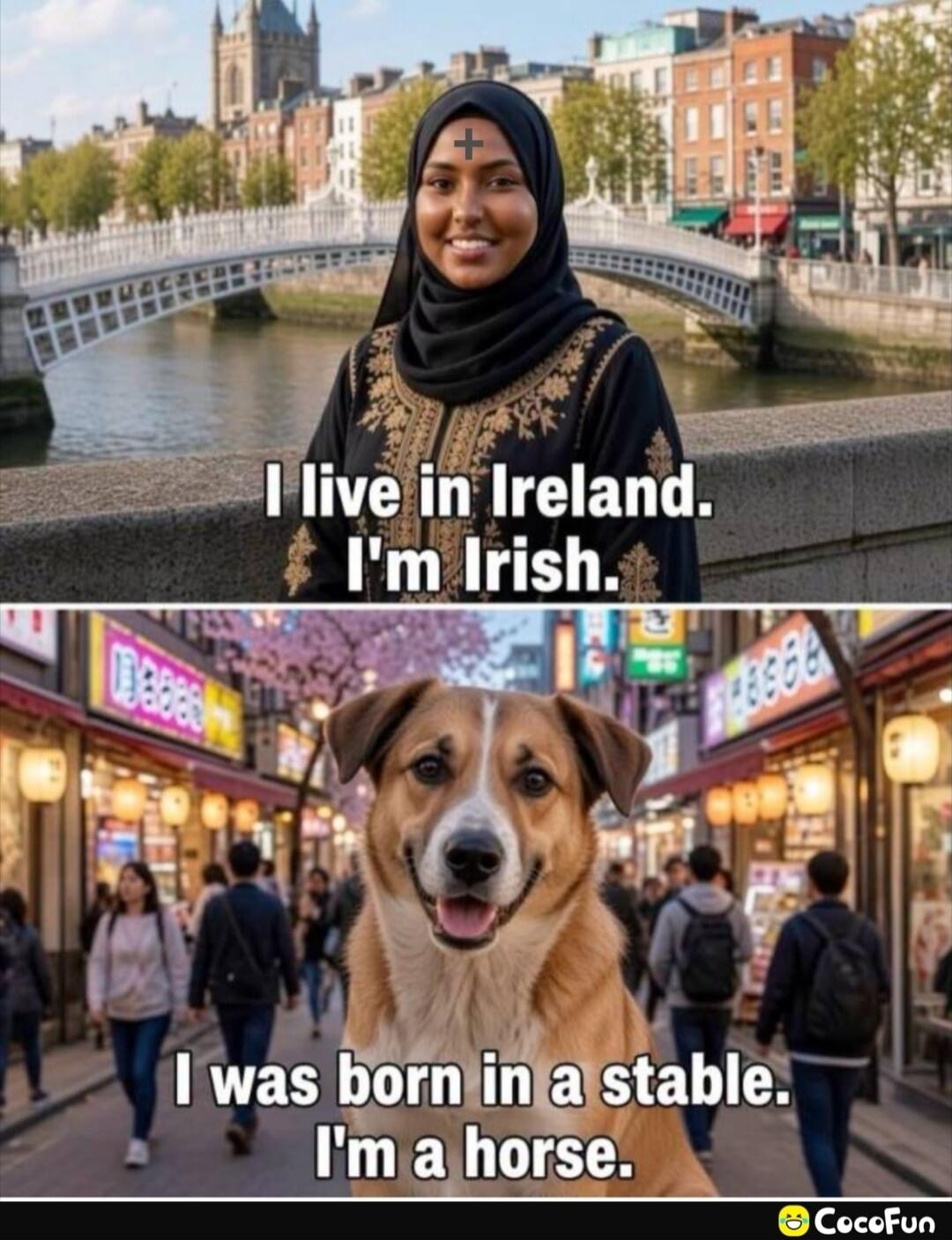 I live in Ireland. I'm Irish. I was born in a stable. I'm a horse.