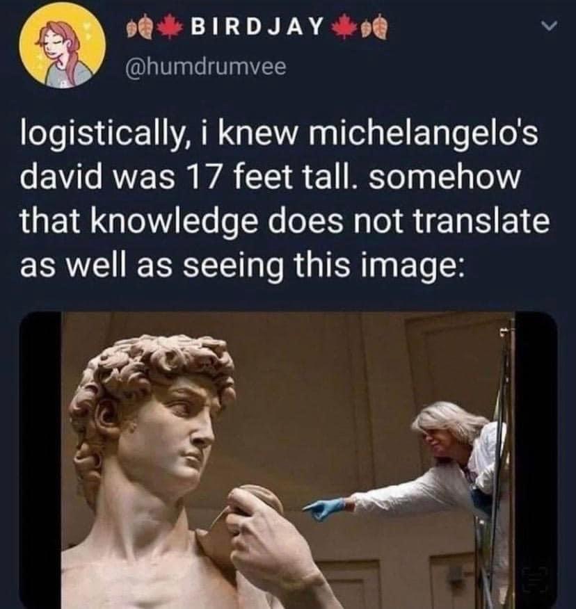9 BIRDJAY v Te V VTS logistically i knew michelangelos david was 17 feet tall somehow that knowledge does not translate as well as seeing this image