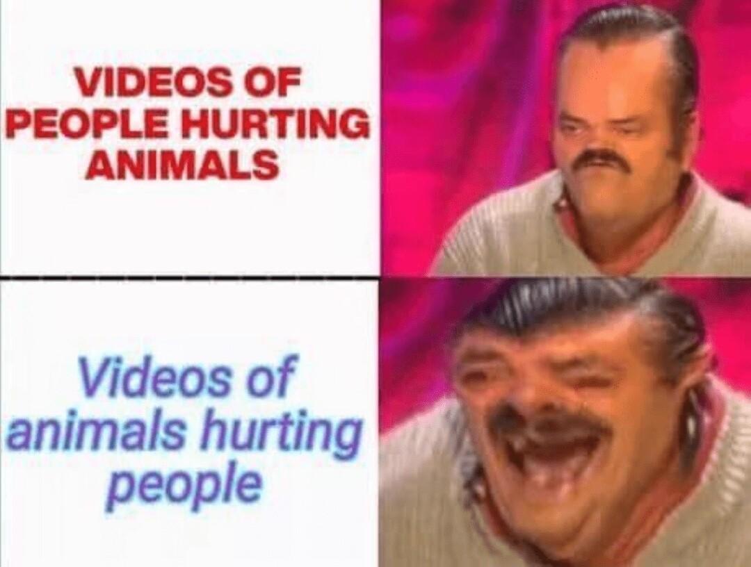 VIDEOS OF PEOPLE HURTING ANIMALS