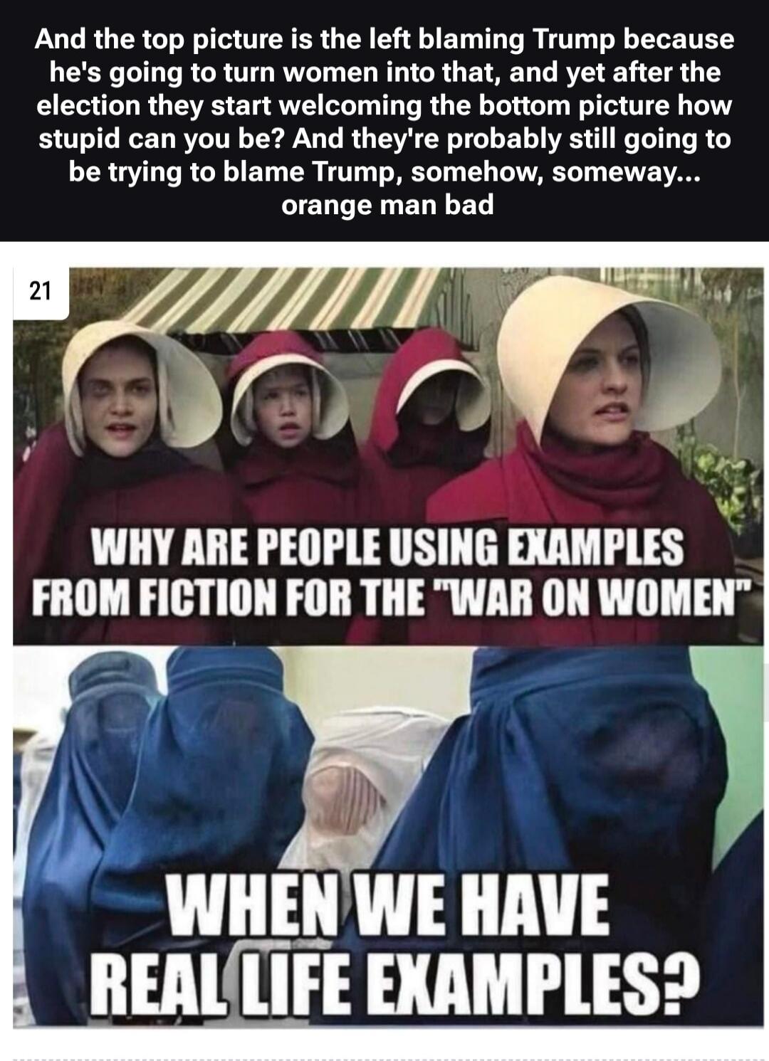 And the top picture is the left blaming Trump because he's going to turn women into that, and yet after the election they start welcoming the bottom picture how stupid can you be? And they're probably still going to be trying to blame Trump, somehow, someway... orange man bad
WHY ARE PEOPLE USING EXAMPLES FROM FICTION FOR THE 