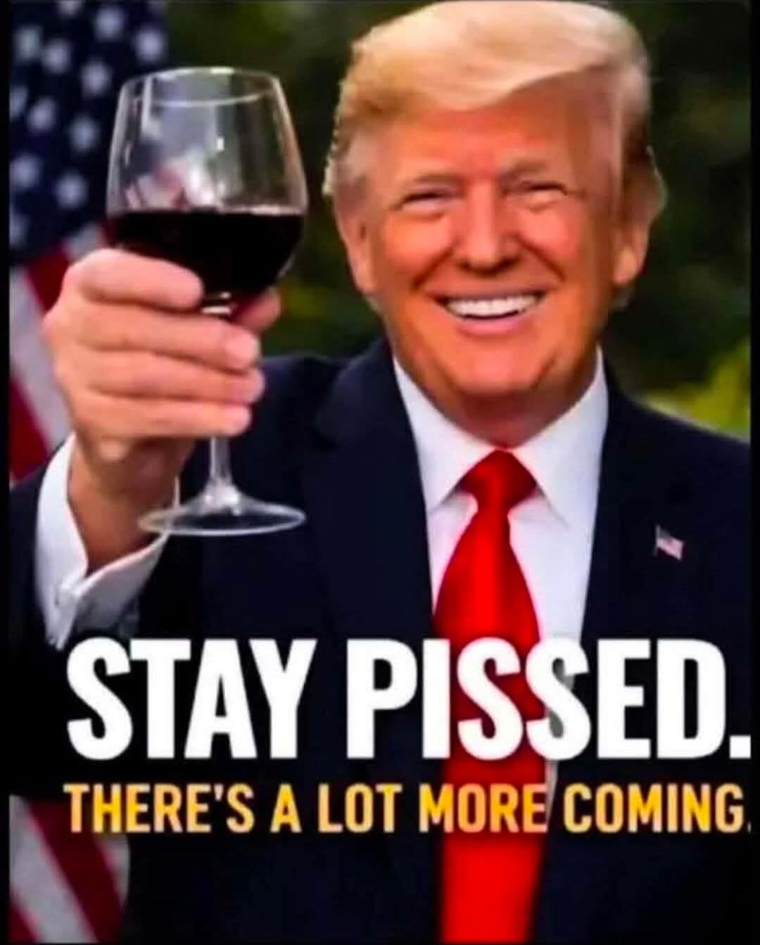 Donald Trump is smiling and holding a glass of red wine, with an American flag in the background. The text on the image reads: 